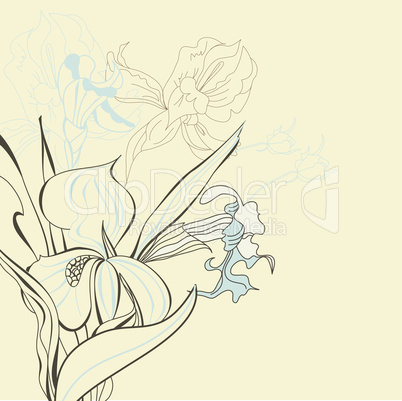 Floral background with iris flowers