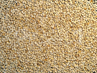 Sesame seeds