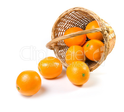 Oranges Oranges