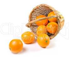 Oranges