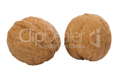 two whole walnuts