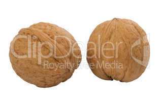 two whole walnuts