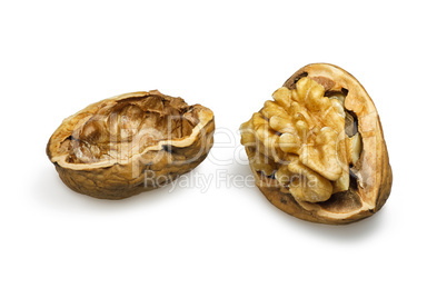 walnut