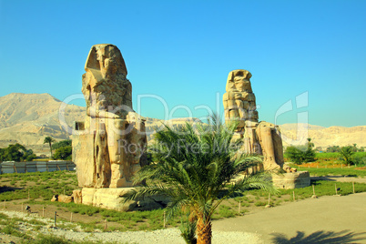 colossi of memnon in Luxor Egypt