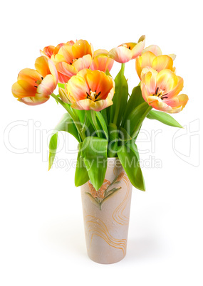 Colourful tulips