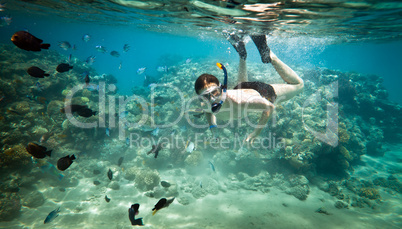 Snorkeler. Red sea