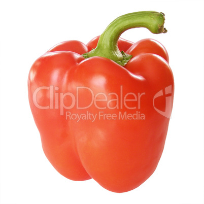 Pepper