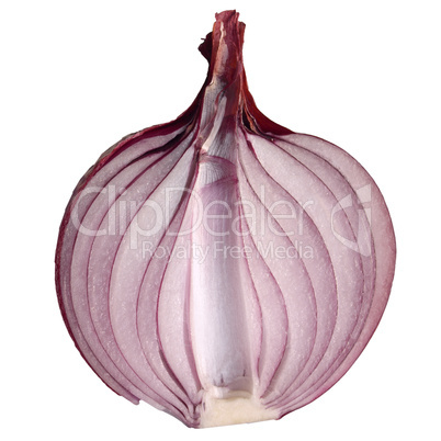 Onion