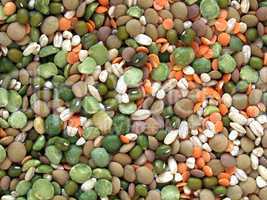 Beans salad