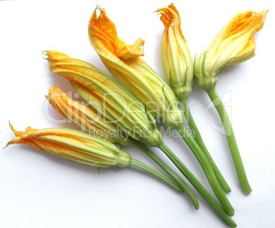 Courgette Zucchini flowers