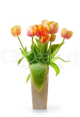 Colourful tulips