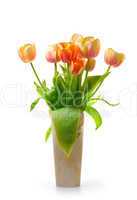 Colourful tulips