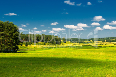 rural landscape