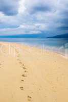 footprints in a tropical beach