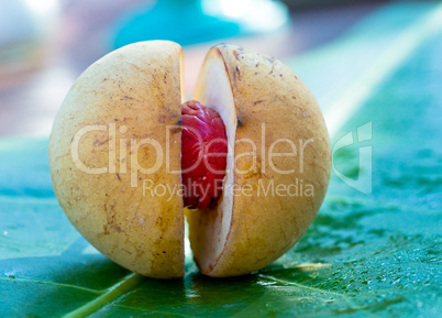 close up image of nutmeg