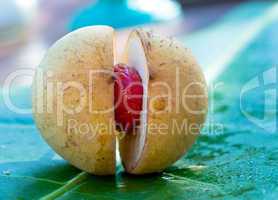 close up image of nutmeg