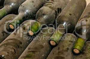 bottles in wine cellar