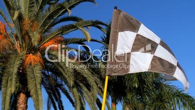 Checkered Flag on Golf Course