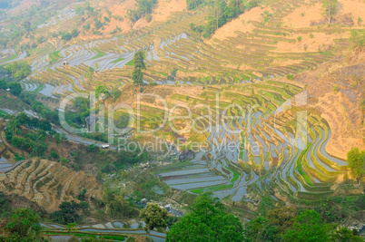 rice terraces of yuanyang,  yunnan, china