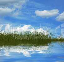 background of grass and blue sky