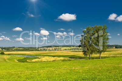 rural landscape with two trees