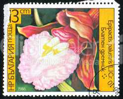 poststamp