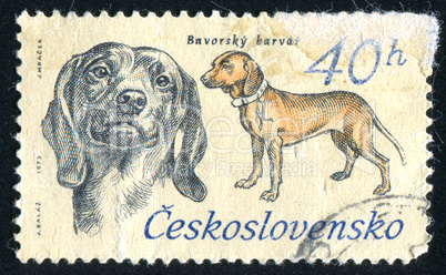 poststamp