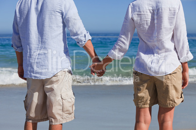 Enamored couple looking at the sea