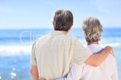 Senior couple looking at the sea