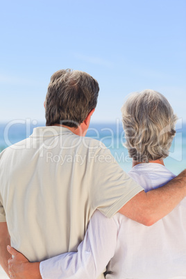 Senior couple looking at the sea