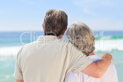 Senior couple looking at the sea