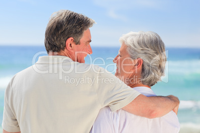 Senior couple looking at the sea