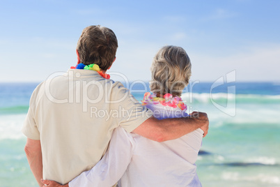 Enamored couple looking at the sea