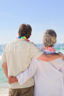 Enamored couple looking at the sea