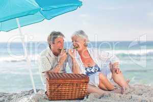 Elderly couple picniking on the beach