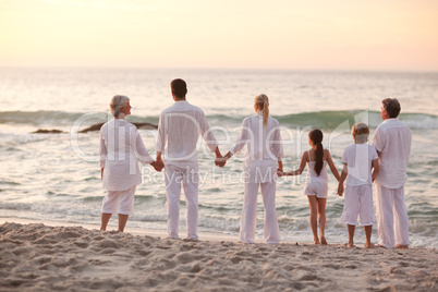 Portrait of a happy family