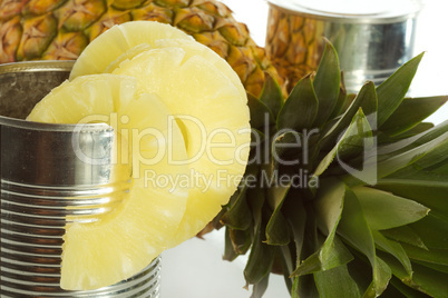 Pineapple