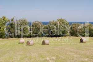 bales of straw