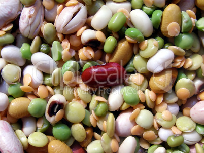 Beans salad