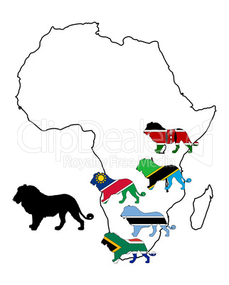 Afrika Löwen