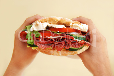 Appetizing sandwich with ham and cheese