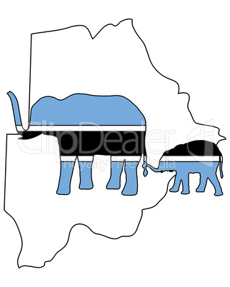 Botswana Elefanten
