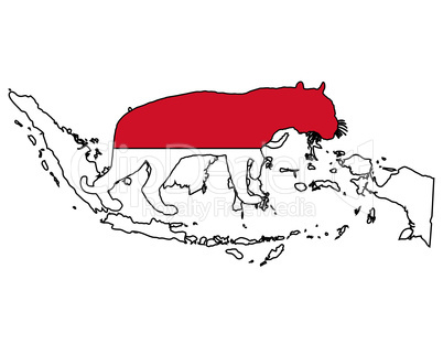 Indonesien Tiger