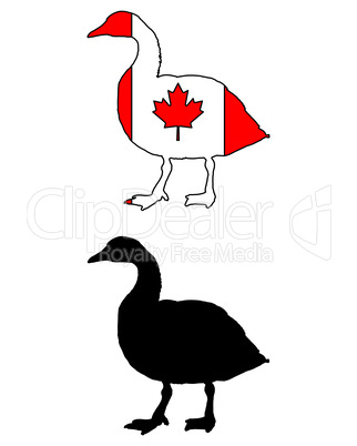 Kanadagans Flagge