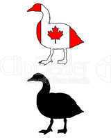 Kanadagans Flagge
