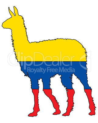 Lama Ecuador