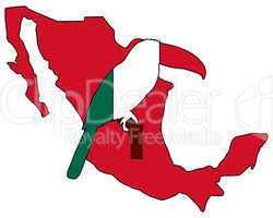 Tukan Mexiko