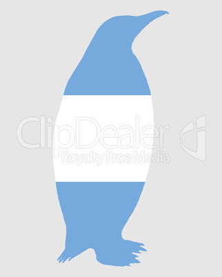 Pinguin Argentinien