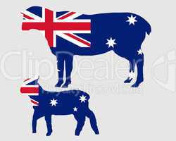 Australiens Schafe