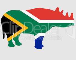 Südafrikanisches Nashorn